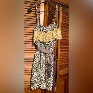 Teeze Me Zebra Print Dress with White Accents